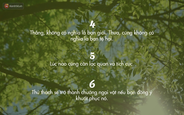 5b6b46967db249d93dd9.jpg