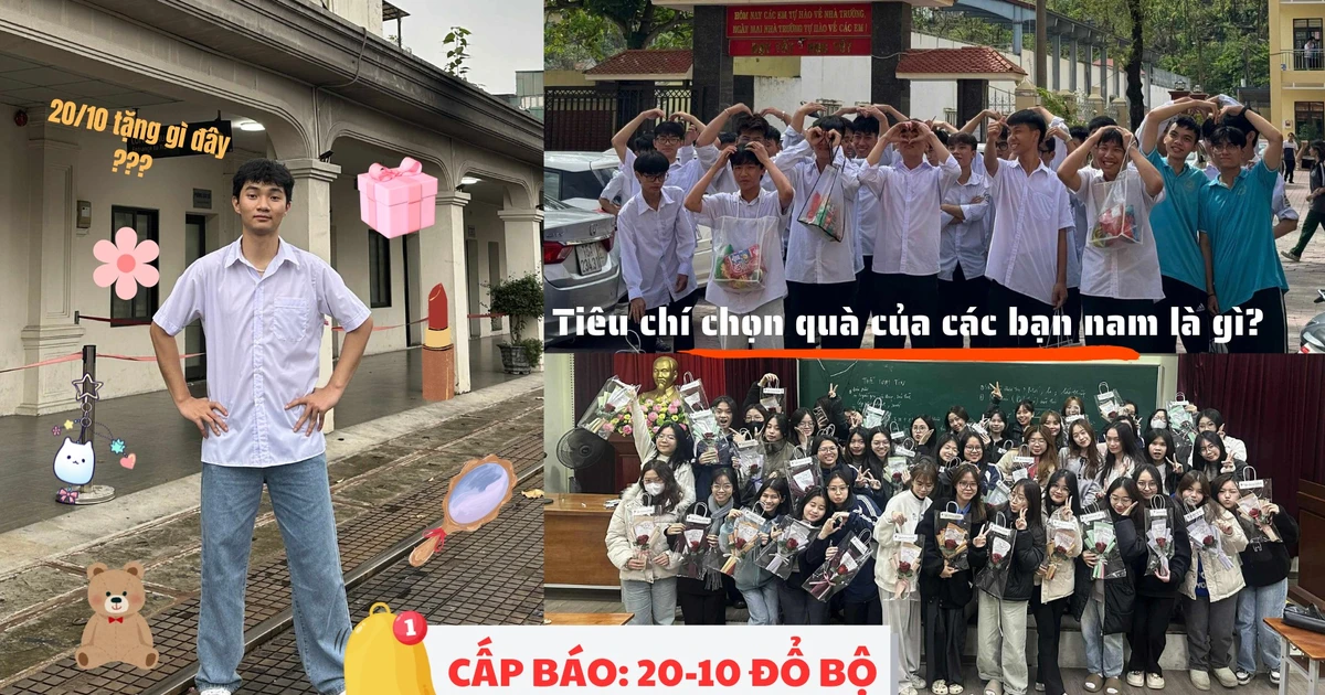 5b70357e2693e9240b1e.webp