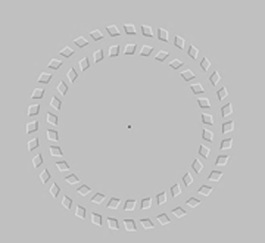 5b96d23c02b4afca9cfd.jpg