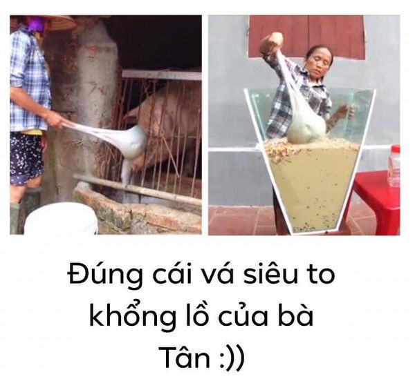 5bb2cca5c298c29bc046.jpg