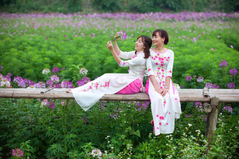 5bcddf47bb06ab8640a0.jpg