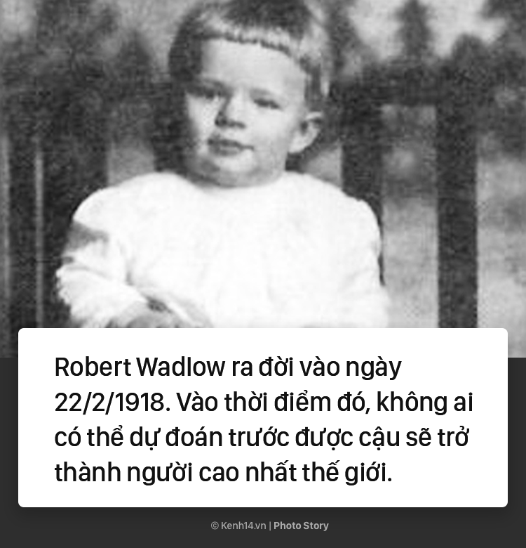 5be82229090a76e049e7.png