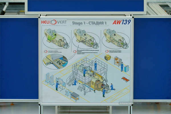 5c09ed65027a1cfed2e7.jpg