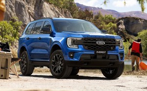5c5a5503e7abaa5aab46.jpg