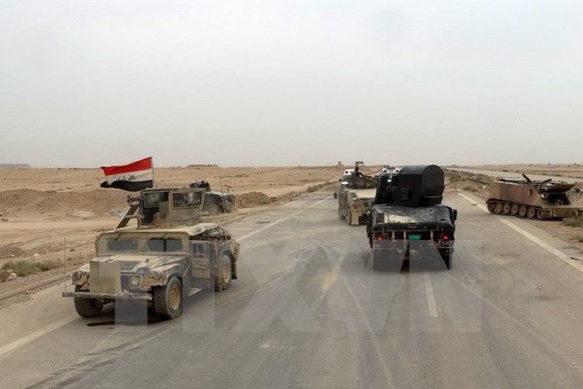 5c627e47f3a50caee06d.jpg