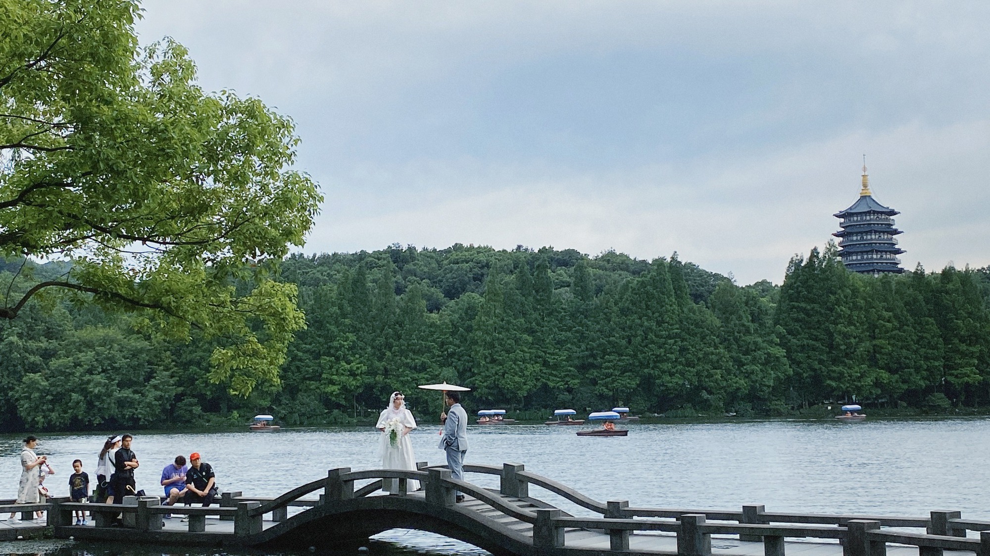 5c8113d542db34a71e9e.jpg