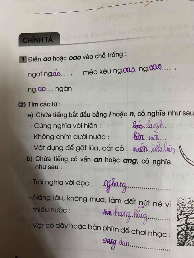 5c8b0cf1e26ffa21684e.jpg