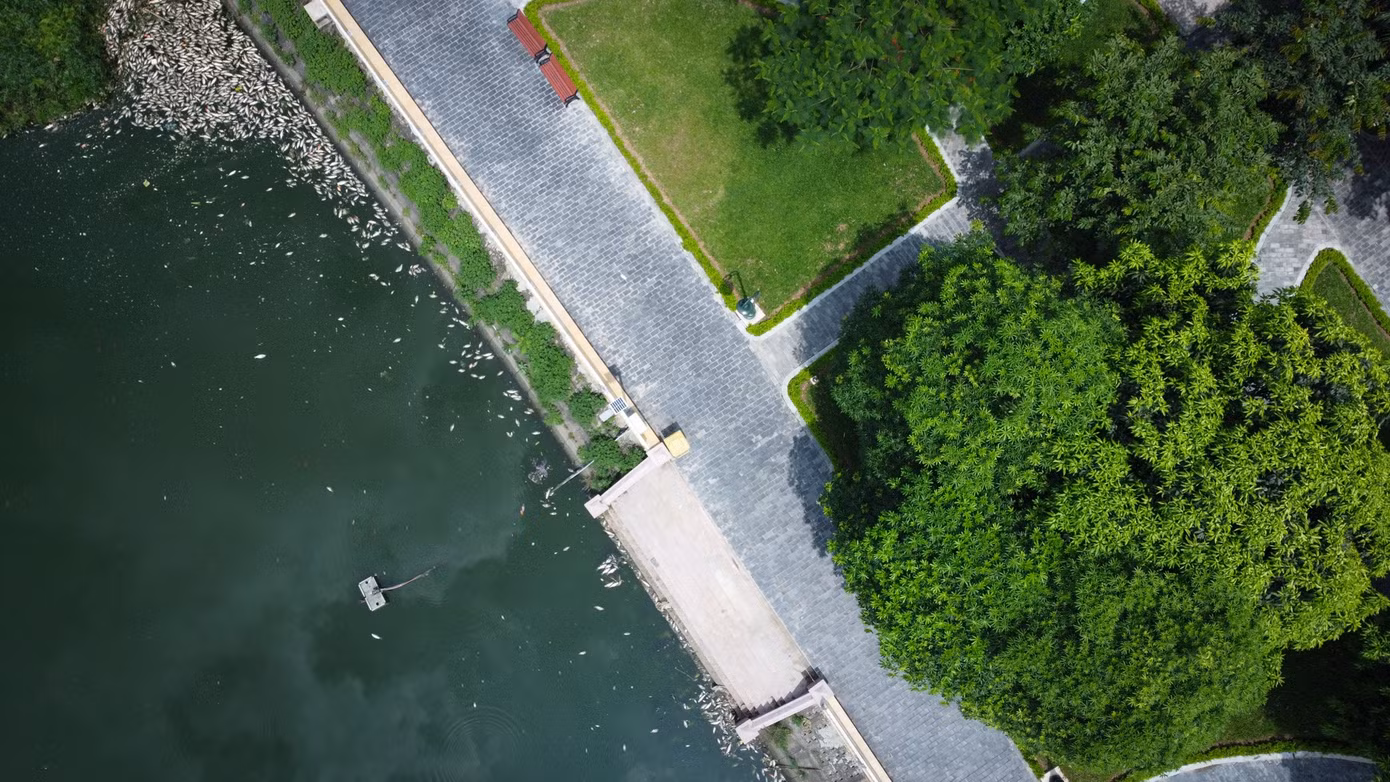 5d3e81af9a37b4098543.jpg