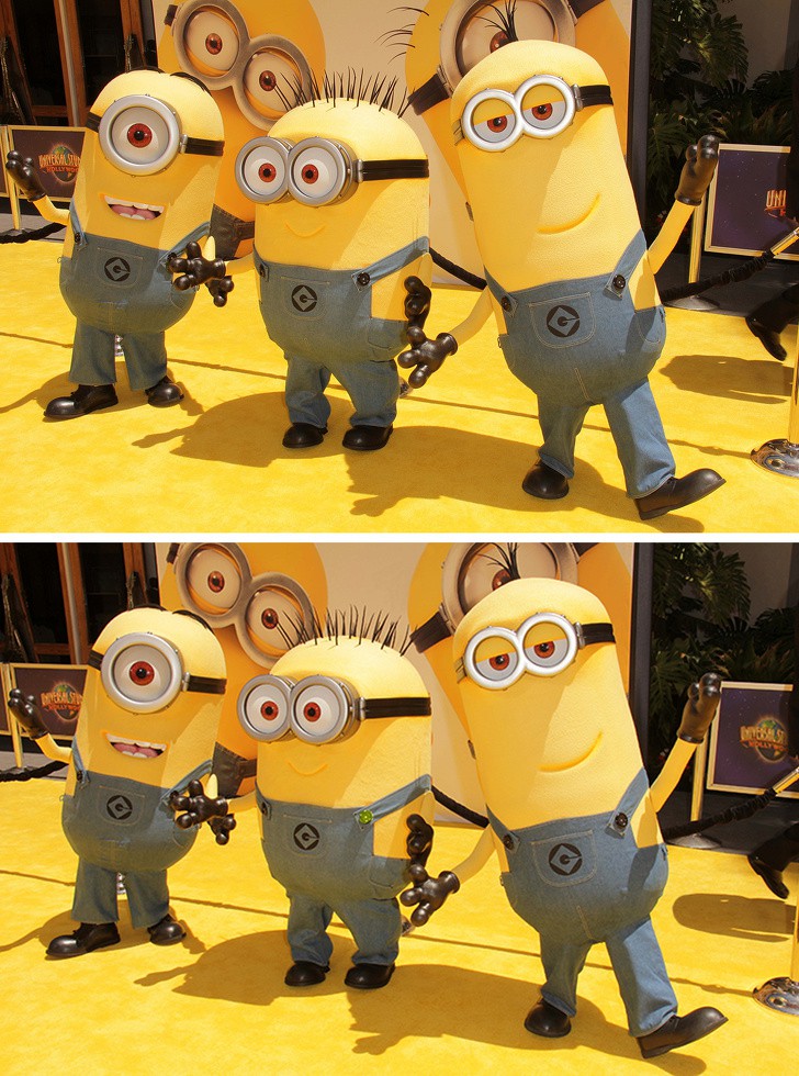 5d522a22448b5cd6af8d.jpg
