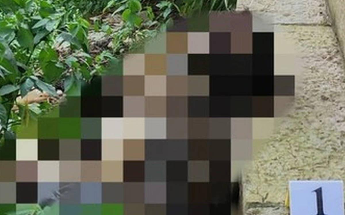 5d540fbc2085317cc88d.png