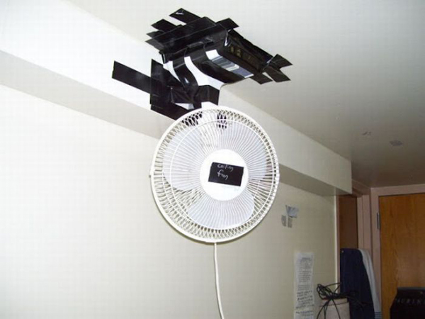 5d58bddde0fb5bd3266a.jpg