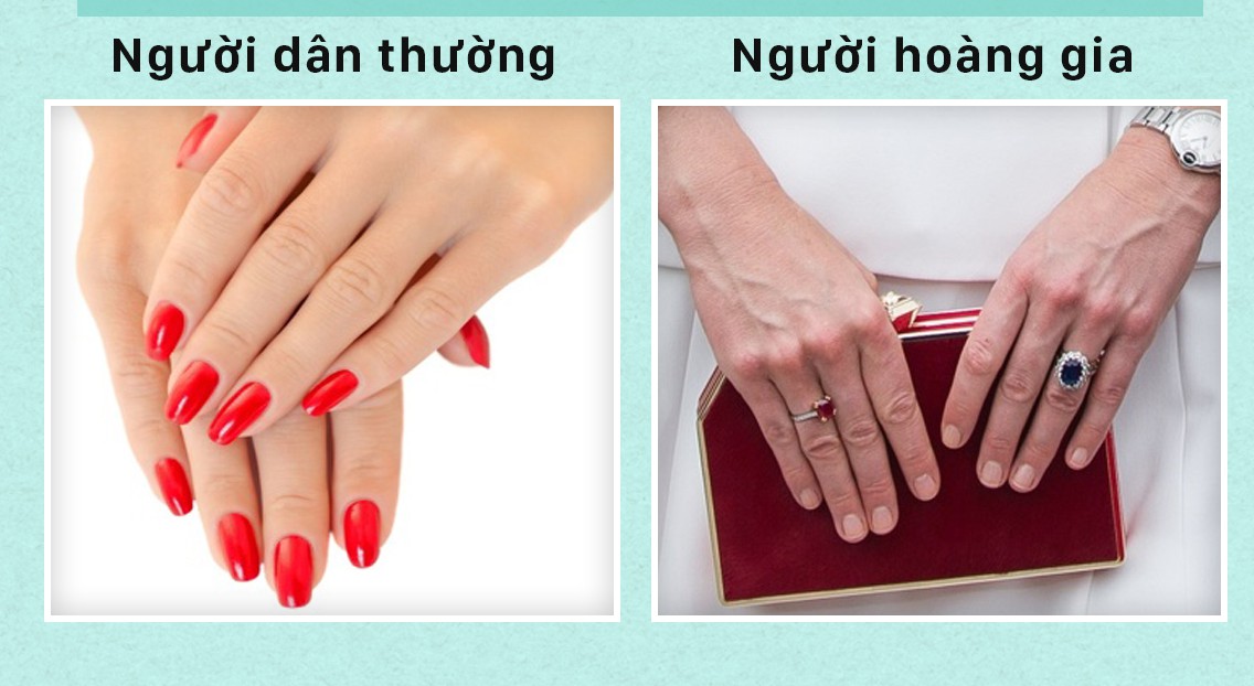 5d5be77060b9caf2a0df.jpg
