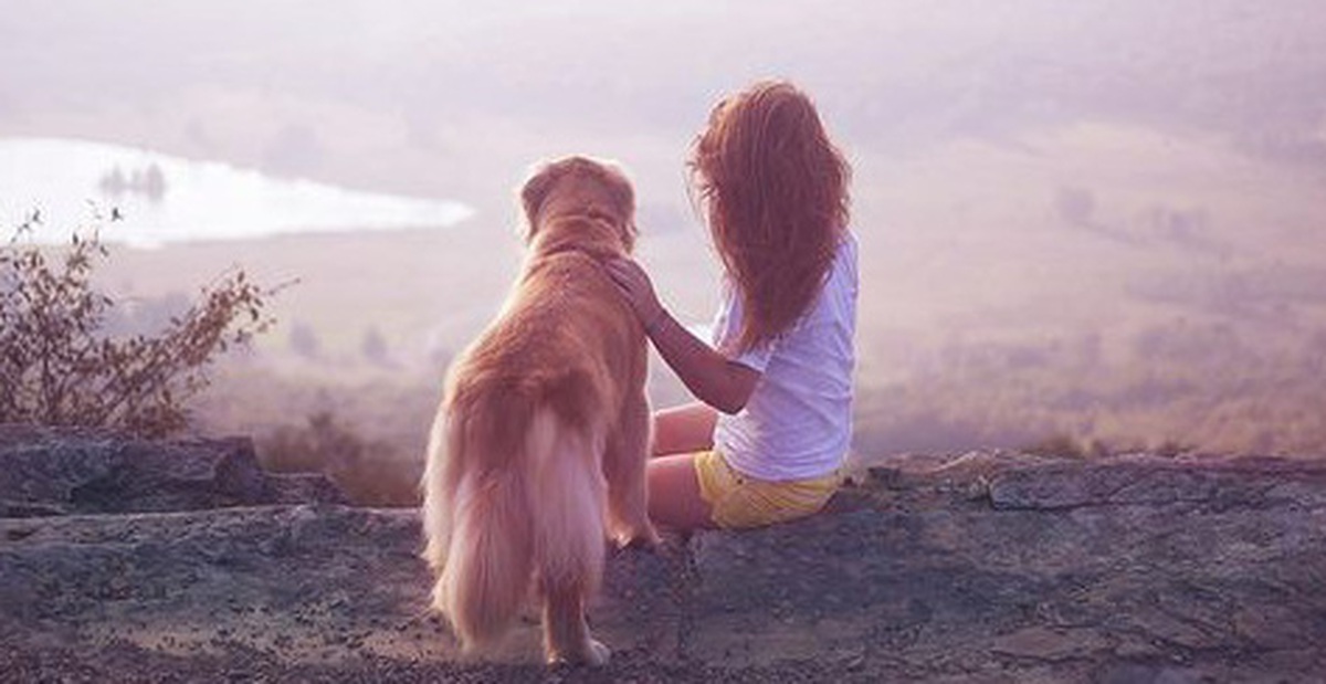 5d6a64a2febac4077b11.jpg