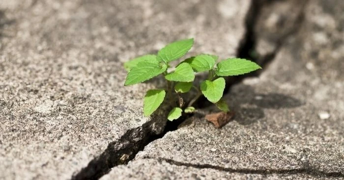 5d80142a1e5669d11f39.webp