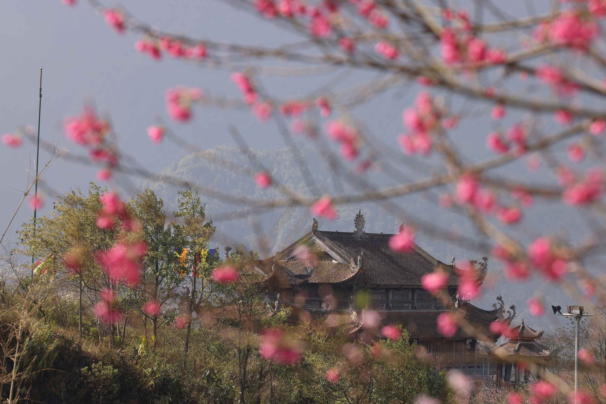 5d96b43f73579885e008.jpg
