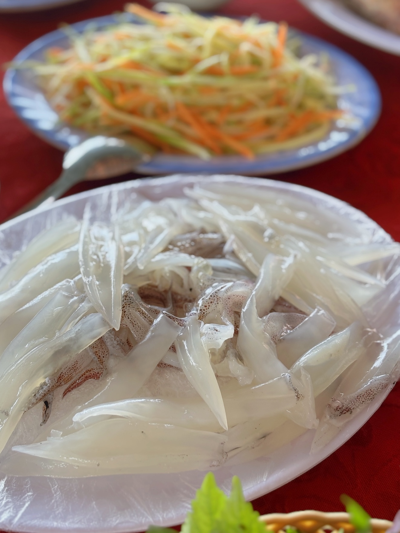 5e3782c393bde31f9e8d.jpg