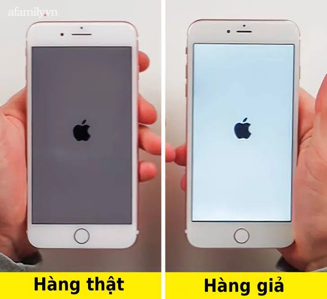 5e7198b6311fb3a61563.png