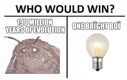 5edb6246bfa43f1de70d.png