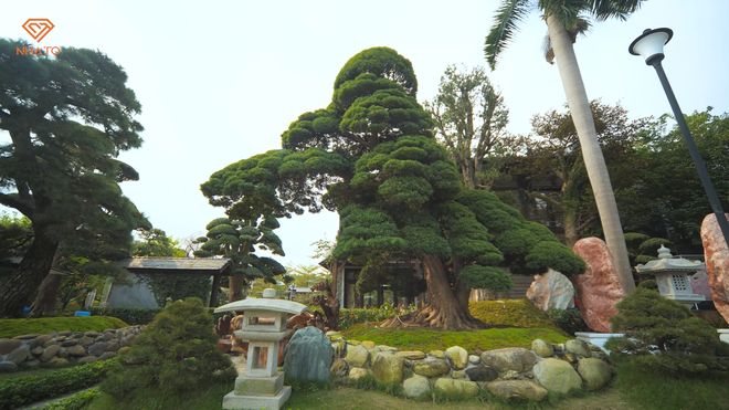 5efd16a6d60d8b895265.png
