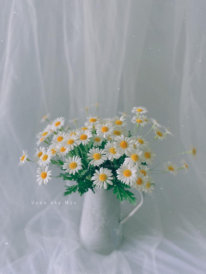 5f631a1c7addb256bee0.jpg