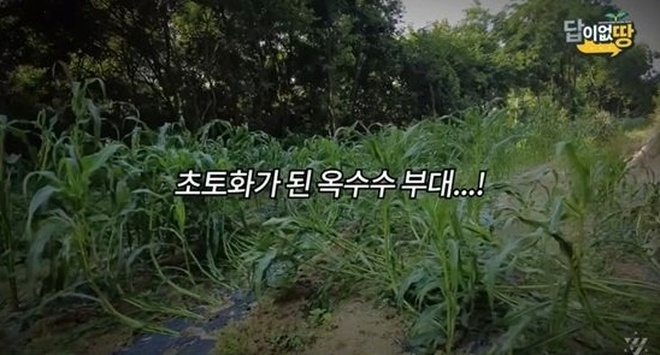 5f90fdafca982c579a6d.jpg