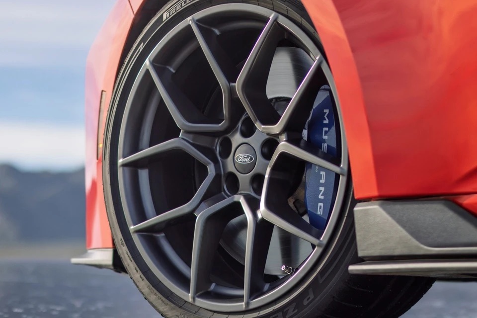 5fd1bd48f8f419b57cf1.jpg