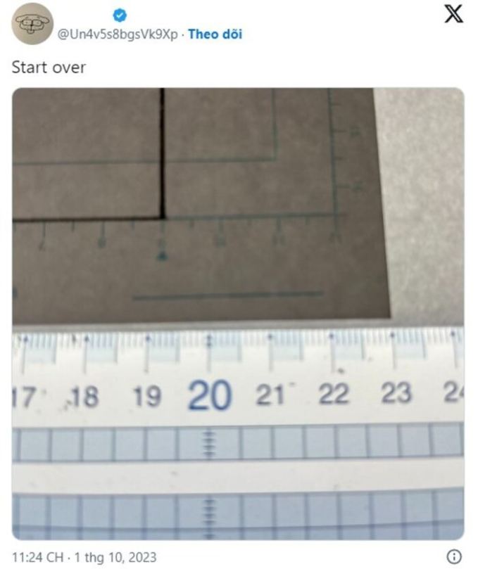 5fd85b62464ff4d92463.jpg