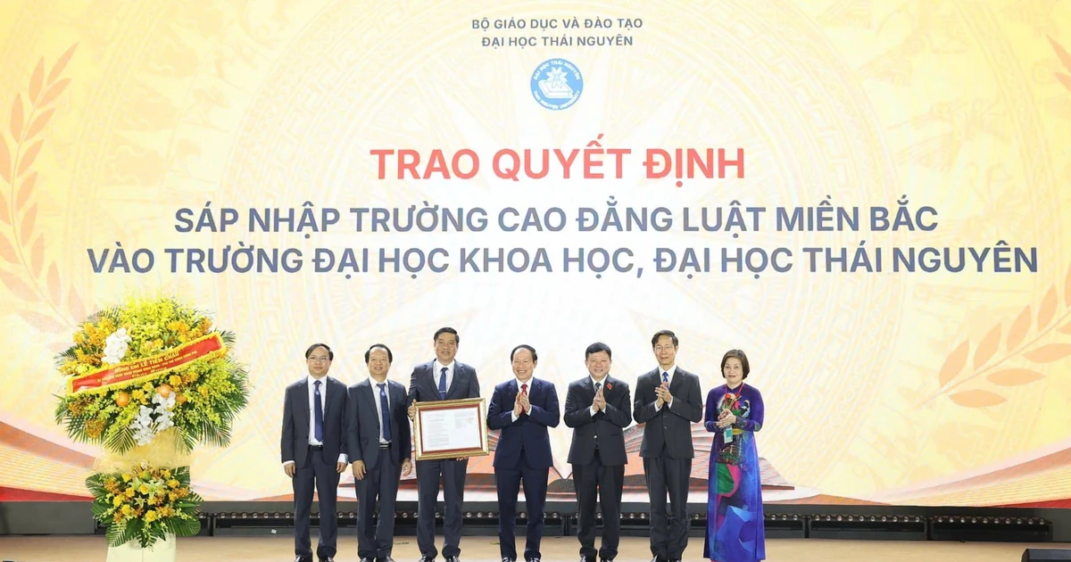 60416030dc82ae81206c.webp