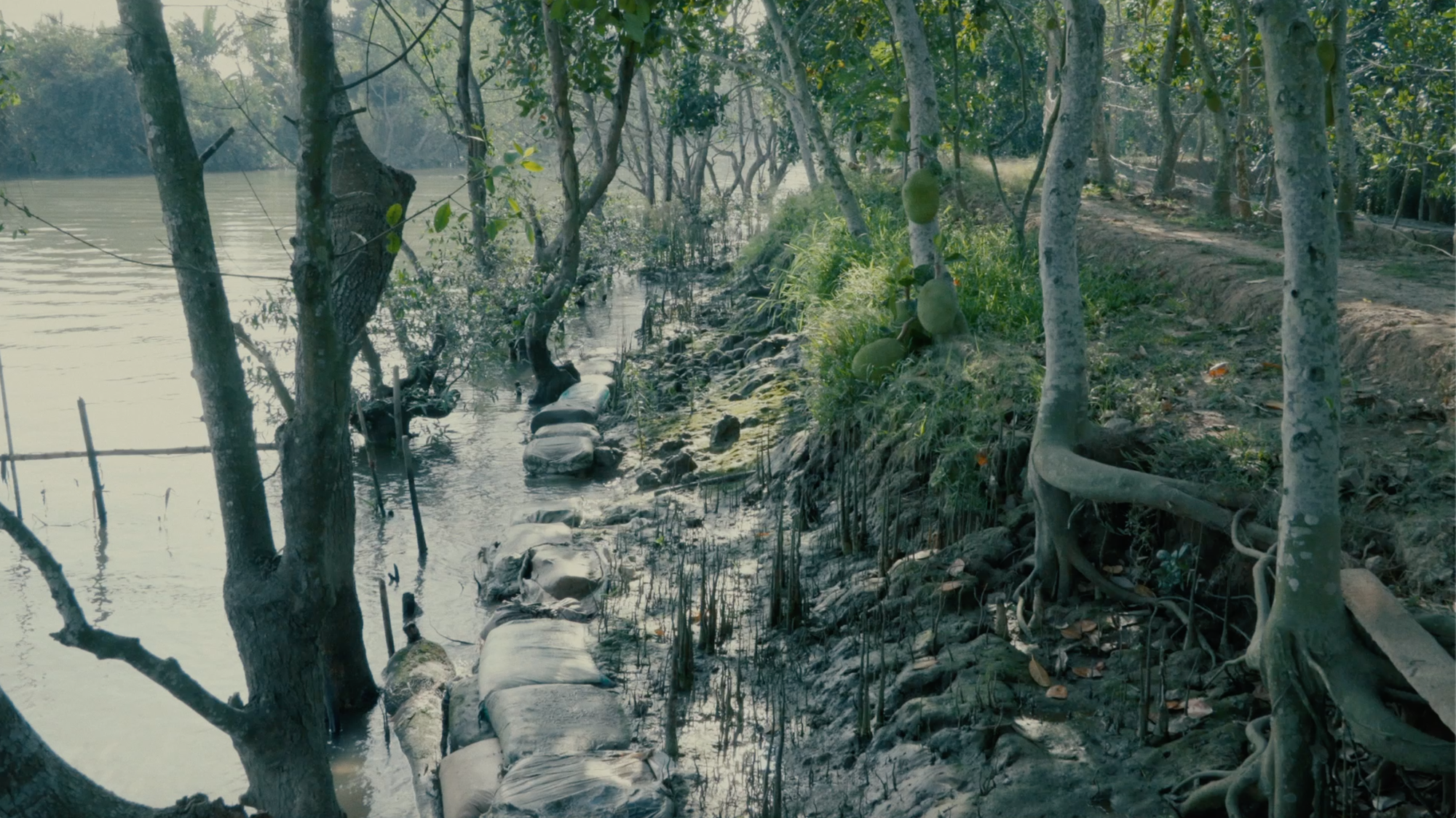 604a10c260ac5225f417.png