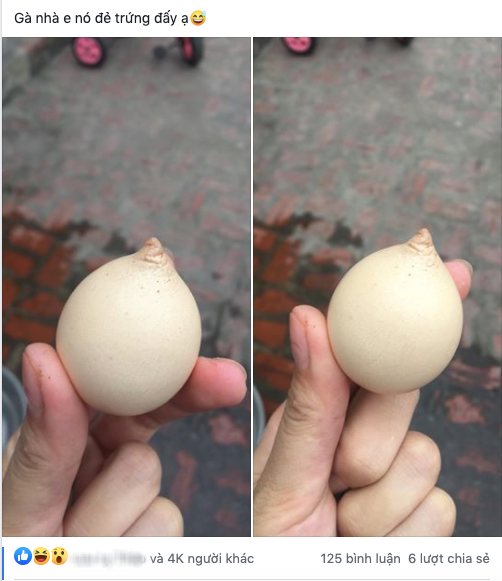 60744df5d3b0bb400088.png