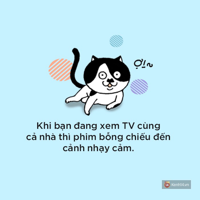 607a733c311219597cea.jpg