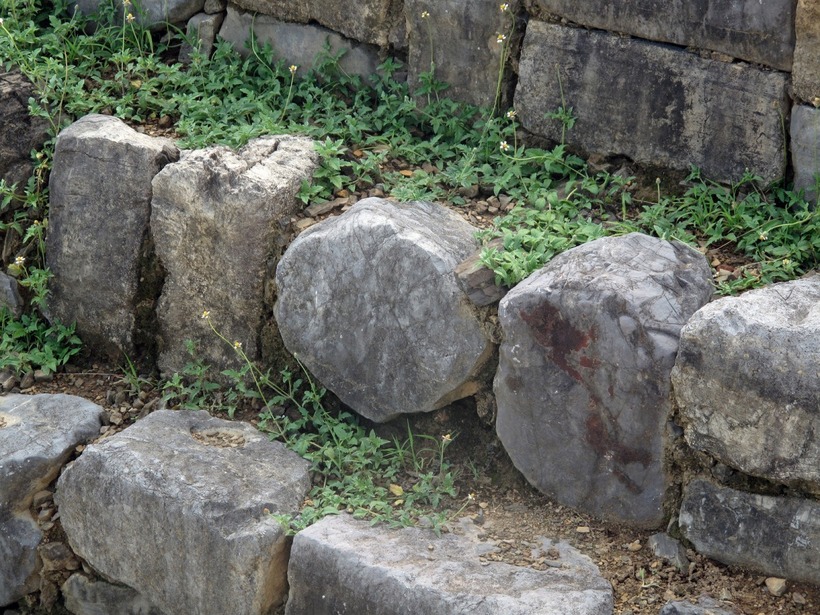 607d081edebed5b16520.jpg