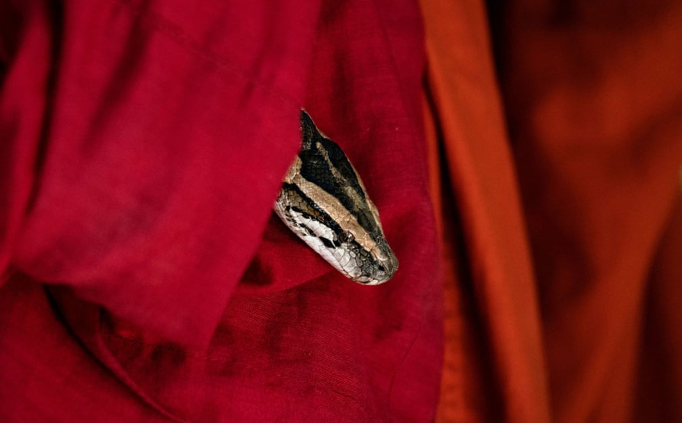 608db0de5f6d651a4142.jpg