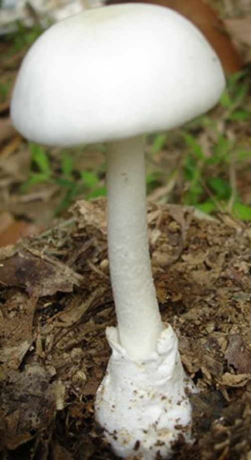 60d637c4dbd9192a05ec.jpg