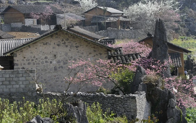 60f5084b19b79c328032.webp