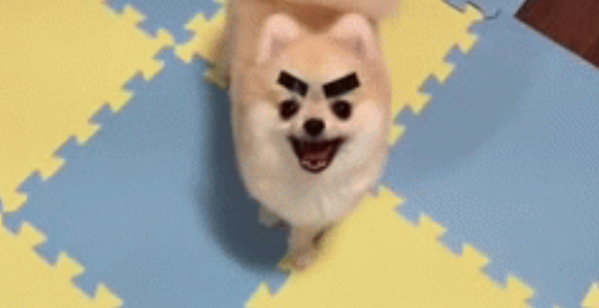 61001c91bab96f3c8e2e.png