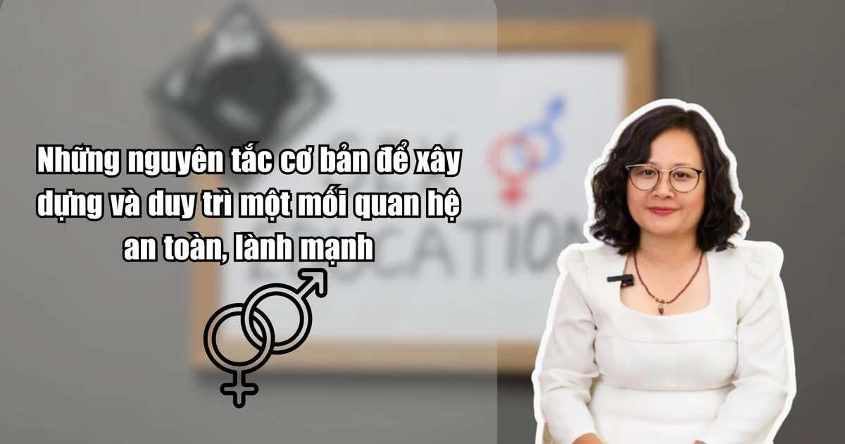 61371aeade269b89572e.webp