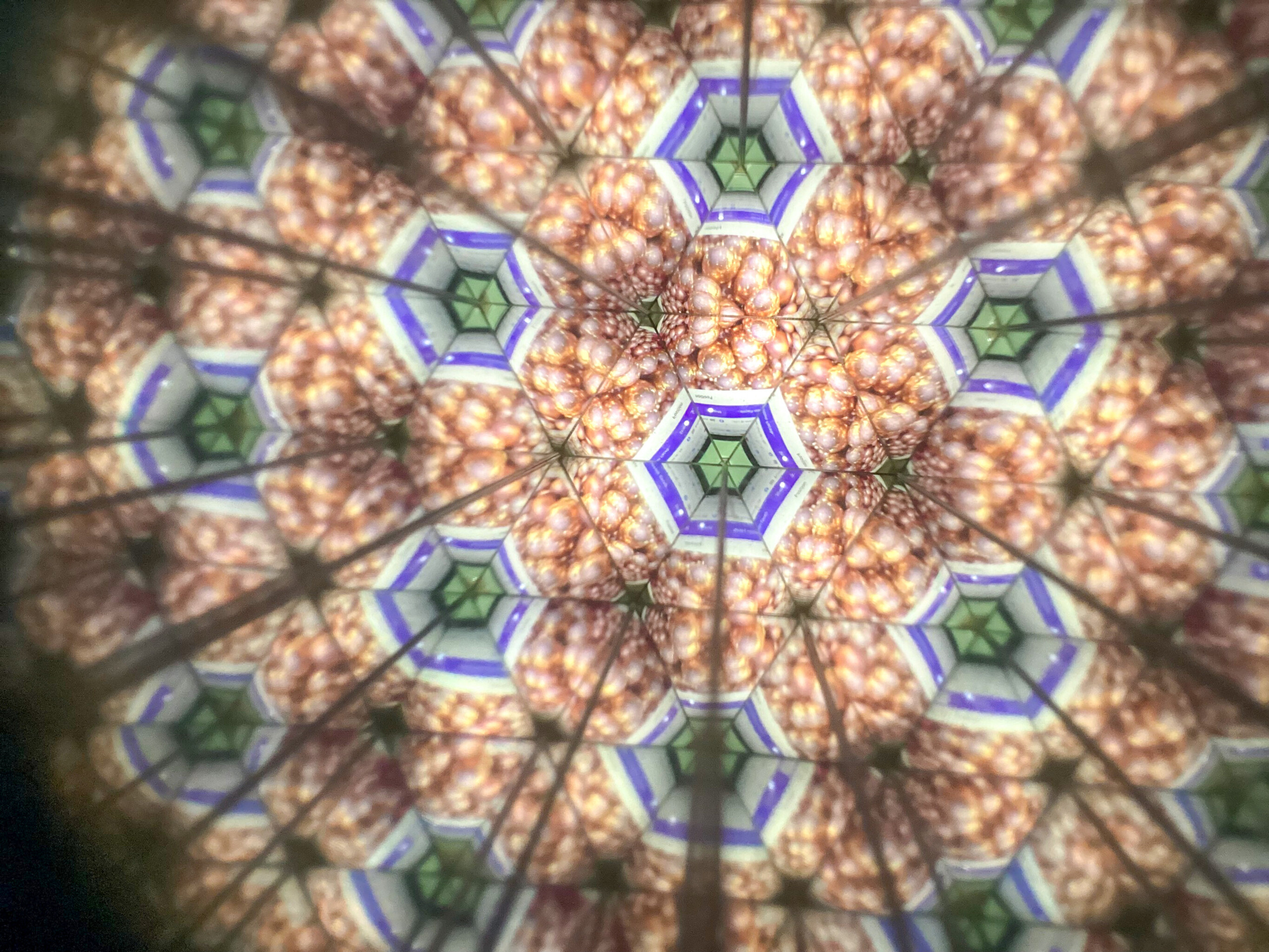 6141a562a83b595f8aa1.jpg