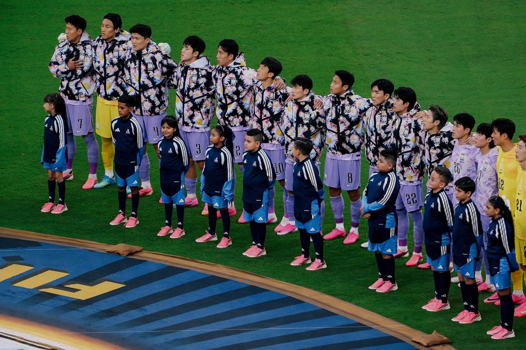 61afbcd13284d4cb46b5.jpg