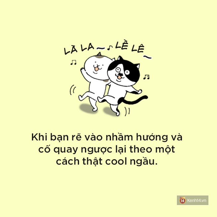 61c098339ee5b0fc407b.jpg