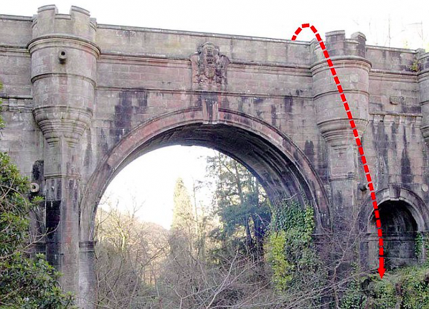 61da22342985fbf25376.png