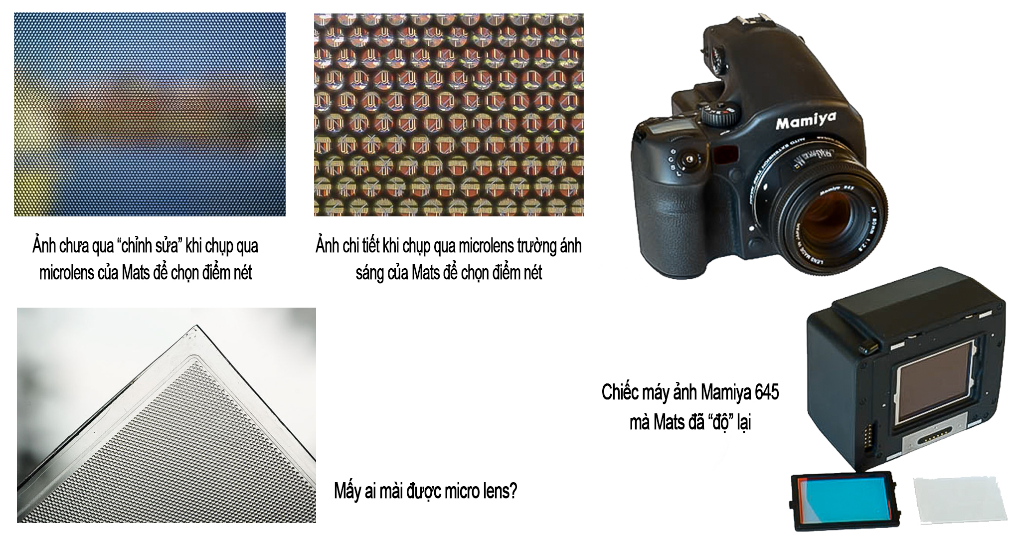 623ea3cd728e0a364f6f.jpg