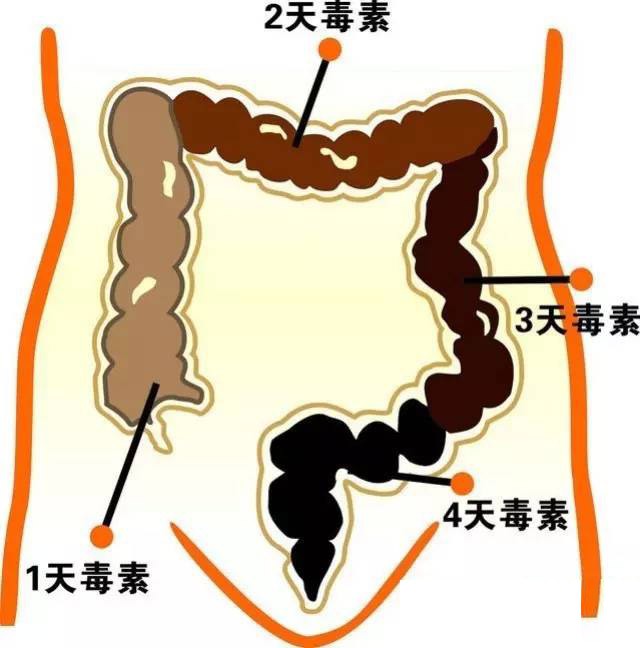 623f0b269fcd807375e0.jpg