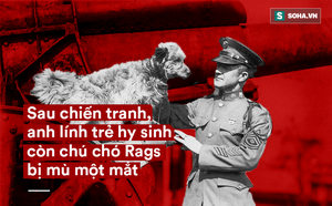 624b6e2bb73694a735e7.png