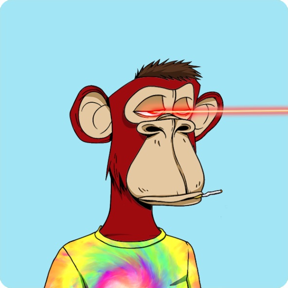 624e69d4276a181c4f00.jpg