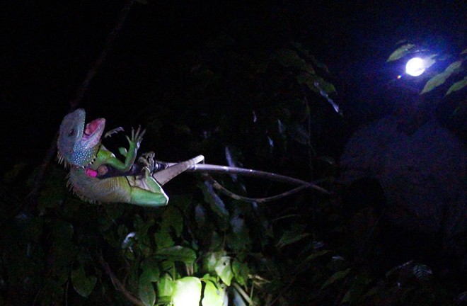 6260458014e4a7a674eb.jpg