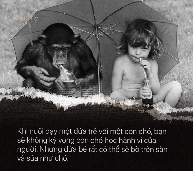 6262eaa15168eed17707.png