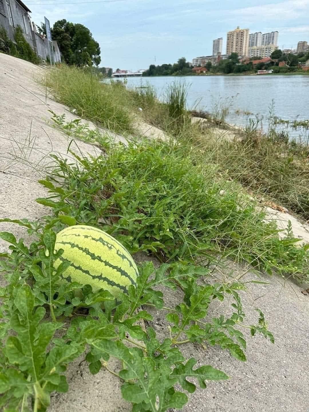 62683f7d227078c6557d.jpg