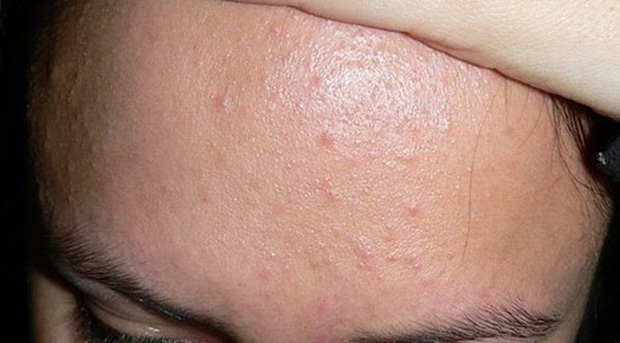 62761ab0679541ba1e29.jpg
