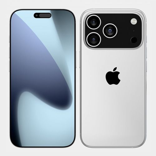 629c560956419480d743.jpg